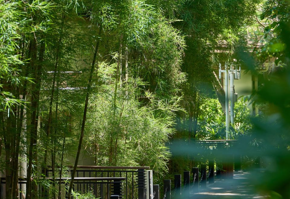 萌宠乐居 | 山景别墅套房