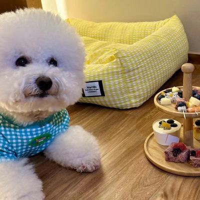 影院Box Plus寵物大床房 深圳你享酒店優惠