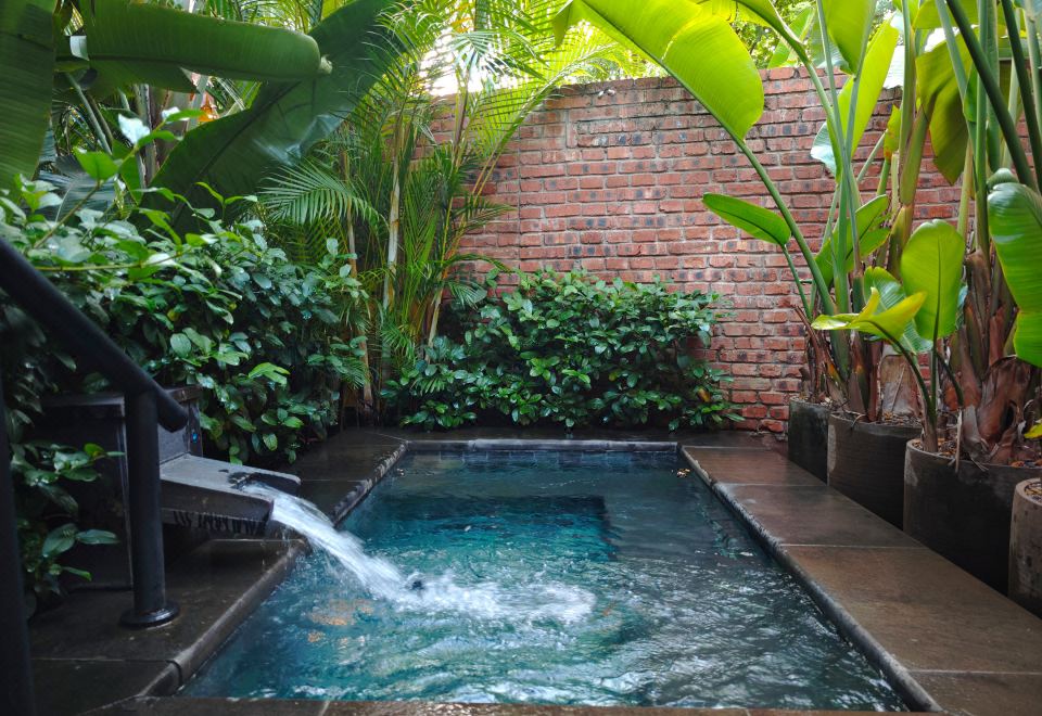 錾影泡池双床房