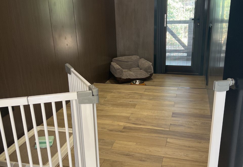 俱乐部宠物双床套房