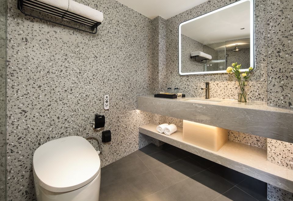 湖畔双塔逸静大床房（全屋语音智控+65寸高清投屏电视）