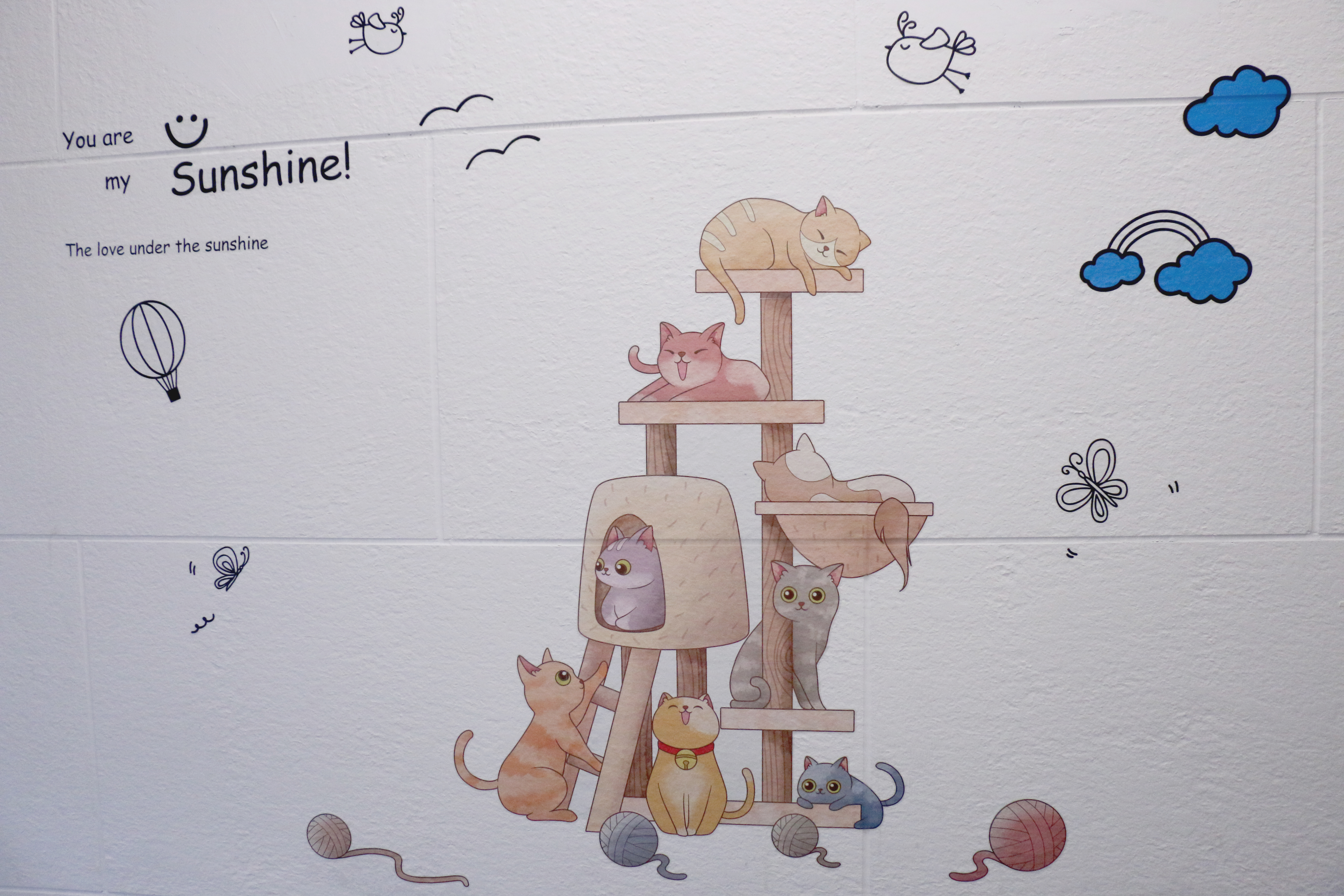 汪星人之家·单卧套房超大床房