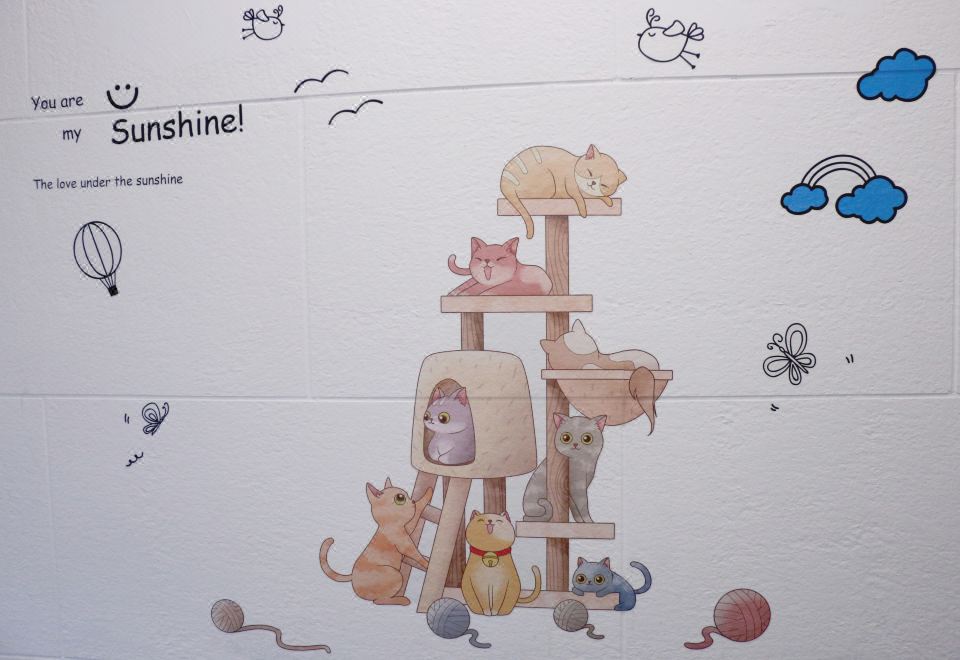 汪星人之家·单卧套房超大床房