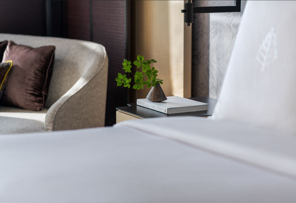 望湖雅緻大床房