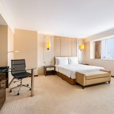 帝盛大床房（院線電影+數字投屏） 成都帝盛飯店（春熙路文殊院店）優惠