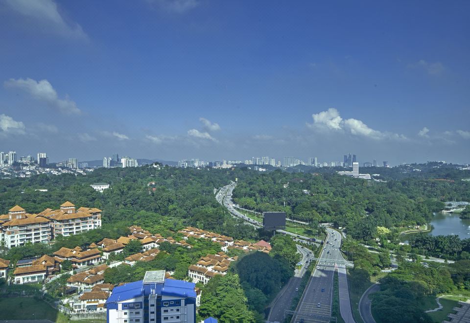 大型客房，一张特大床