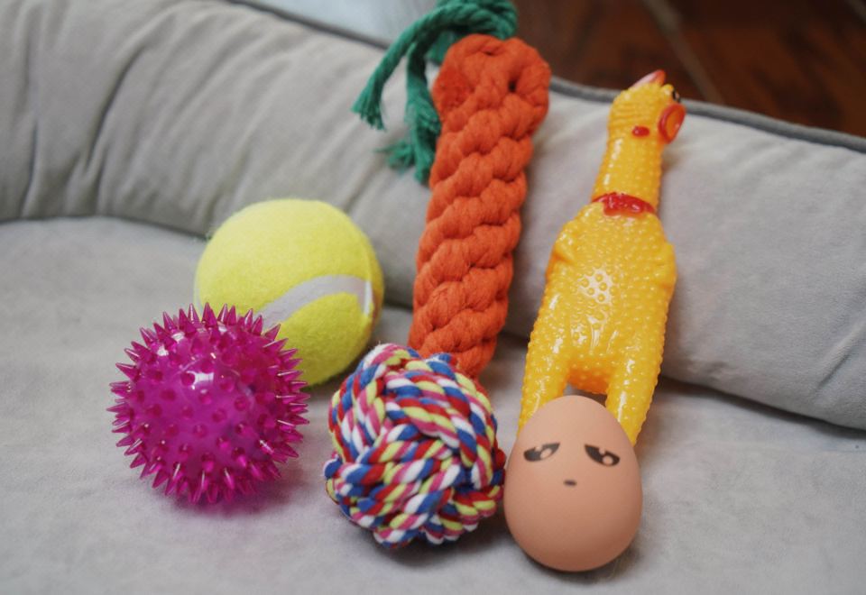 寵物友好單臥別墅