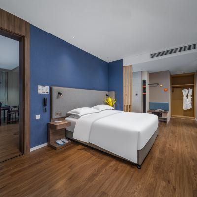 娛樂套房 長沙高鐵南站智選假日酒店優惠