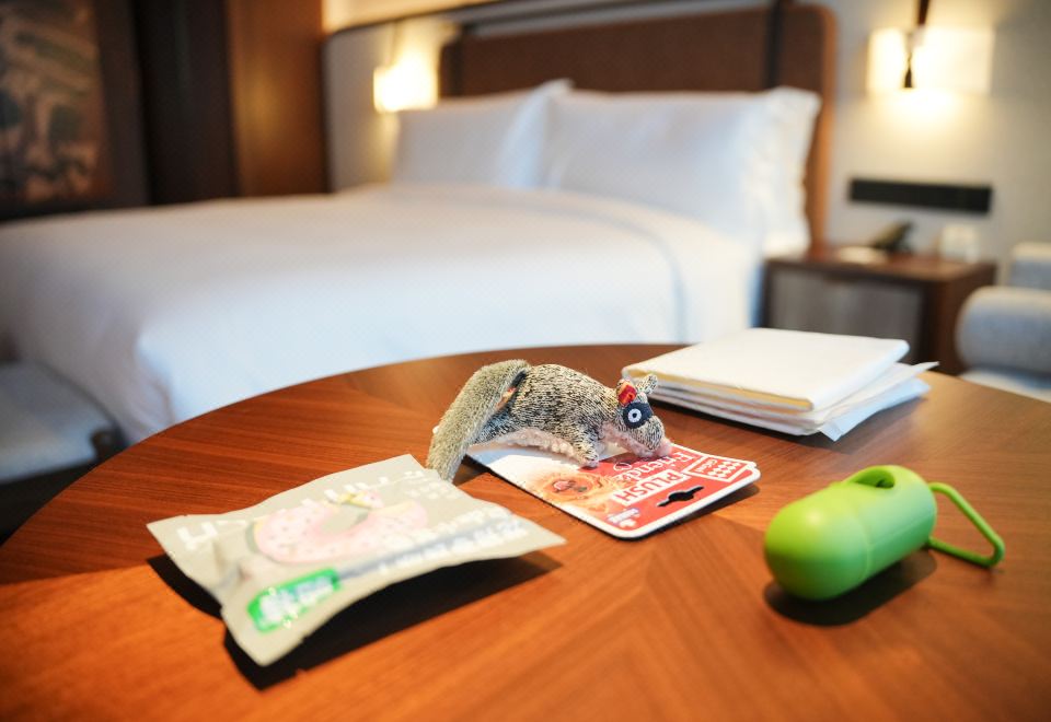 豪华萌宠大床房