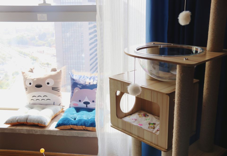 喵星人萌宠大床房（宠物友好+猫爬架+猫砂盆+猫碗）