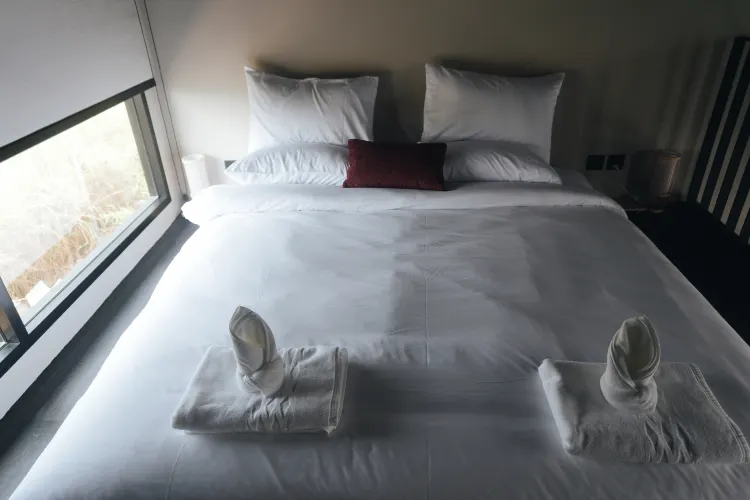 A2 Seiko (เซโก) : ความสำเร็จ