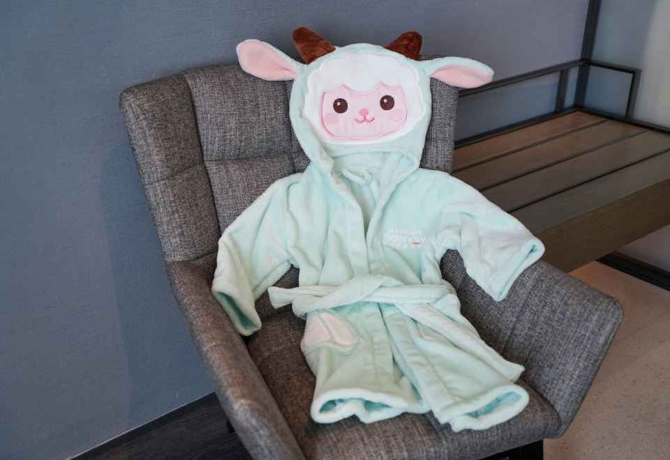 Four Points by Sheraton, Tianjin National Convention and Exhibition CenterDeluxe King Room