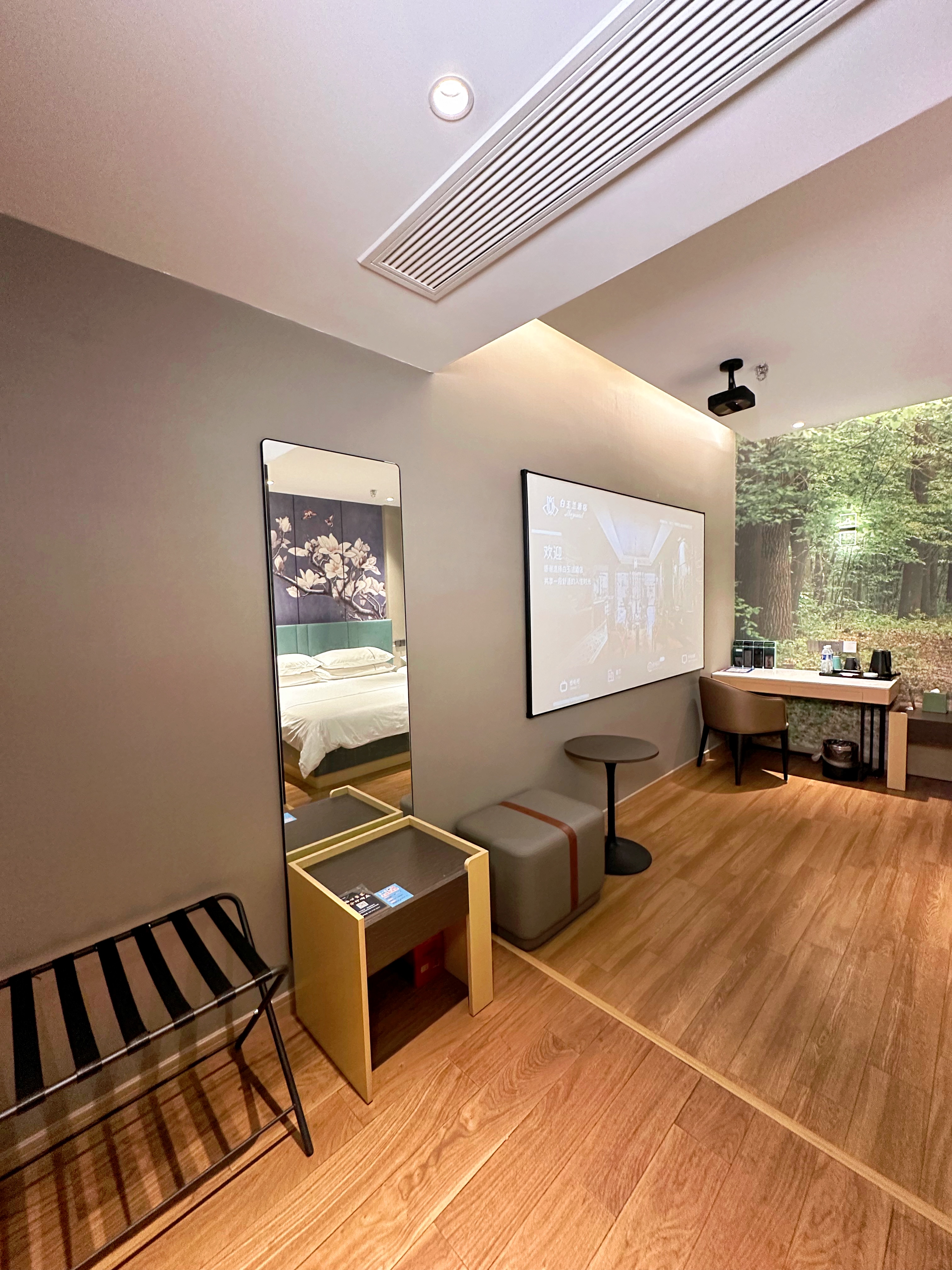 影音悦享轻雅家庭房【高清投影+腾讯VIP+可投屏】