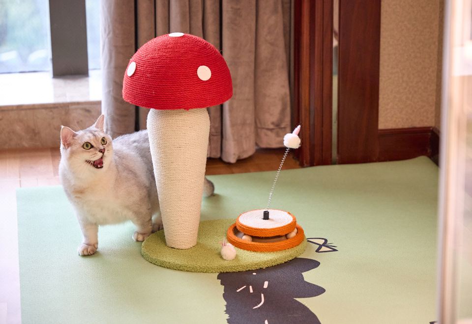 宠物友好双床房-猫猫专属