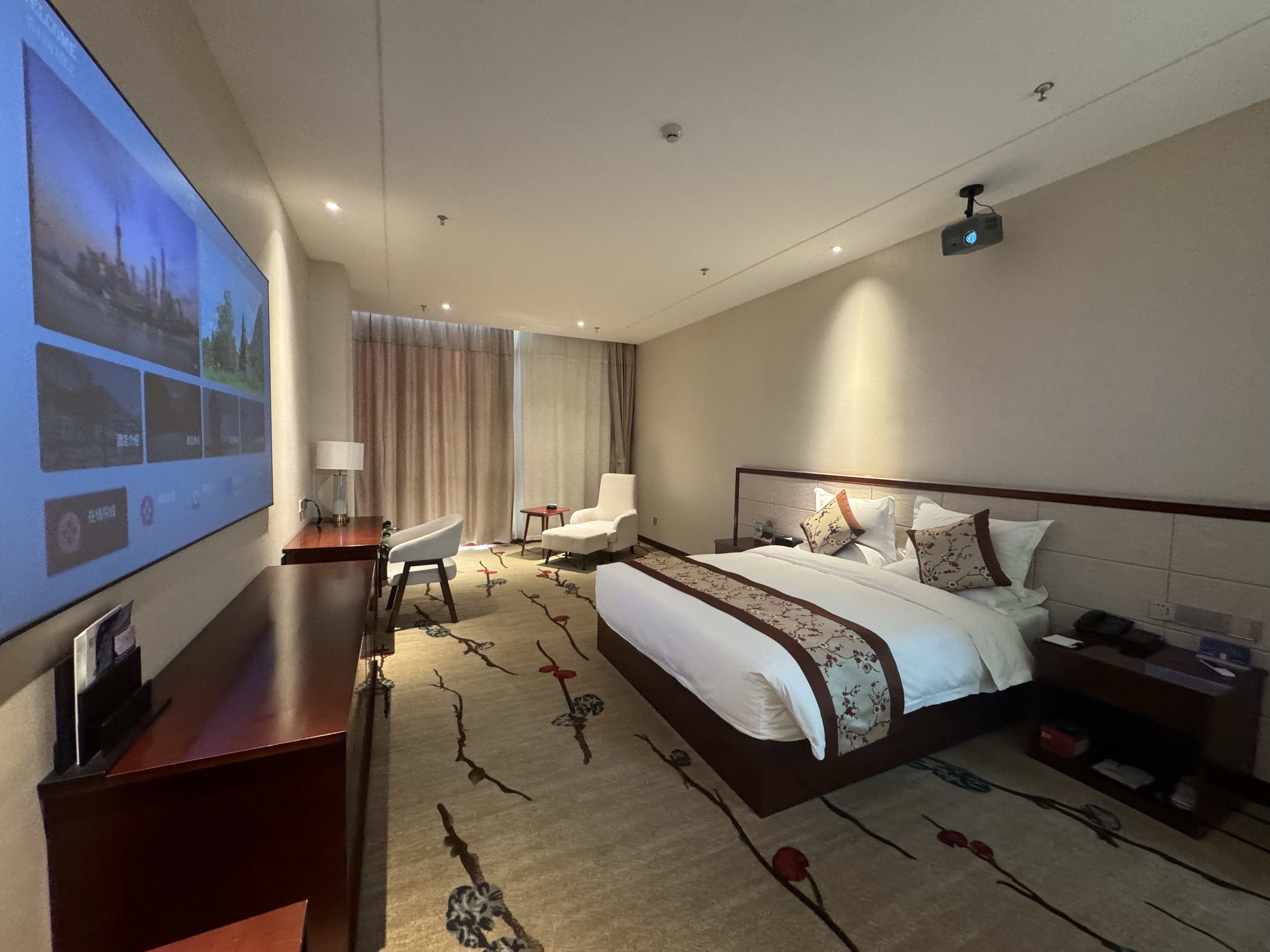 极智畅享影音大床房