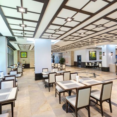 Pinnacle Suite - King 隆披尼公園品尼高飯店優惠