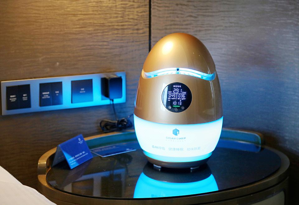 森林氧吧大床房（森呼吸+负氧离子净化器）