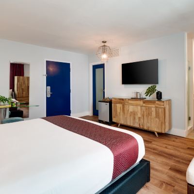 Junior Suite King The Catalina Hotel & Beach Club Promo Code
