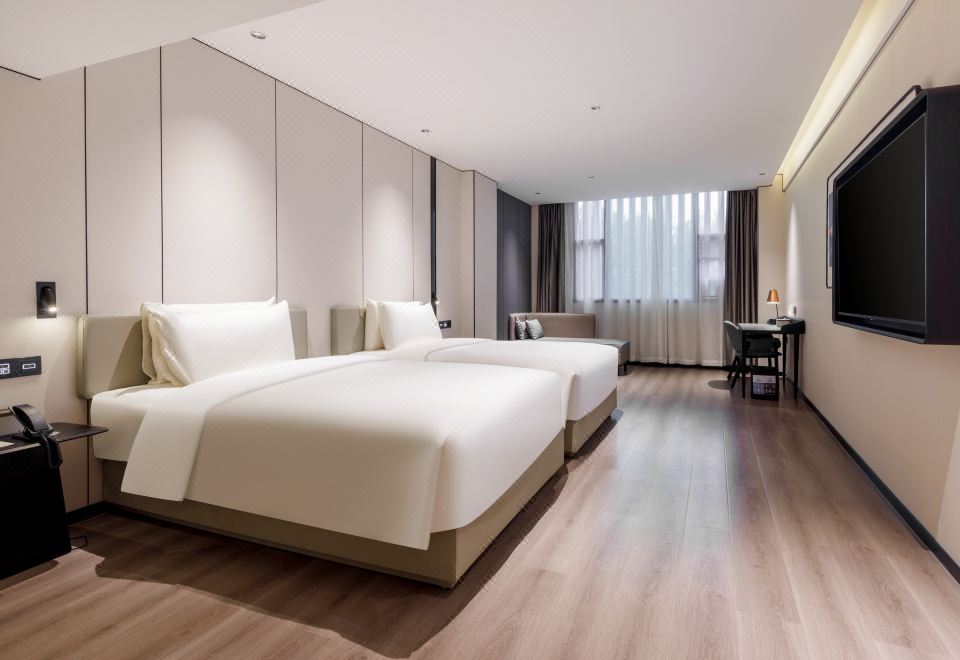 高级双床房（迷你小冰箱+可投屏电视+茶具）