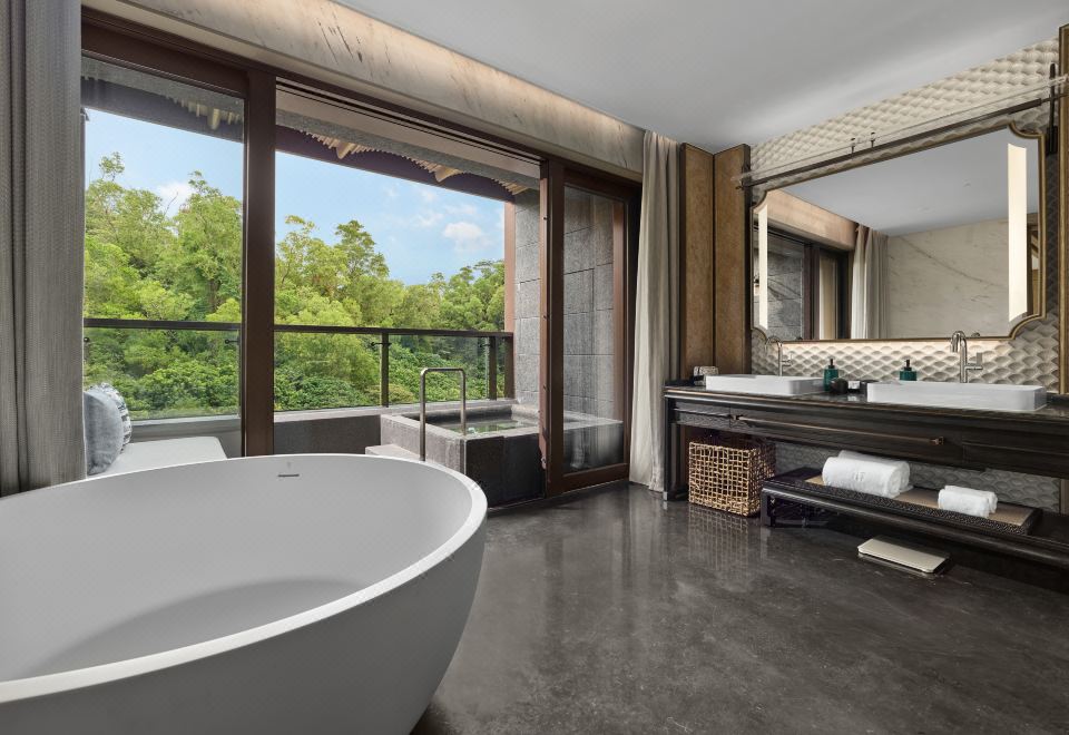 山景汤泉双床房