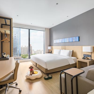 狗狗標準客房 新北新莊凱悅嘉軒飯店優惠