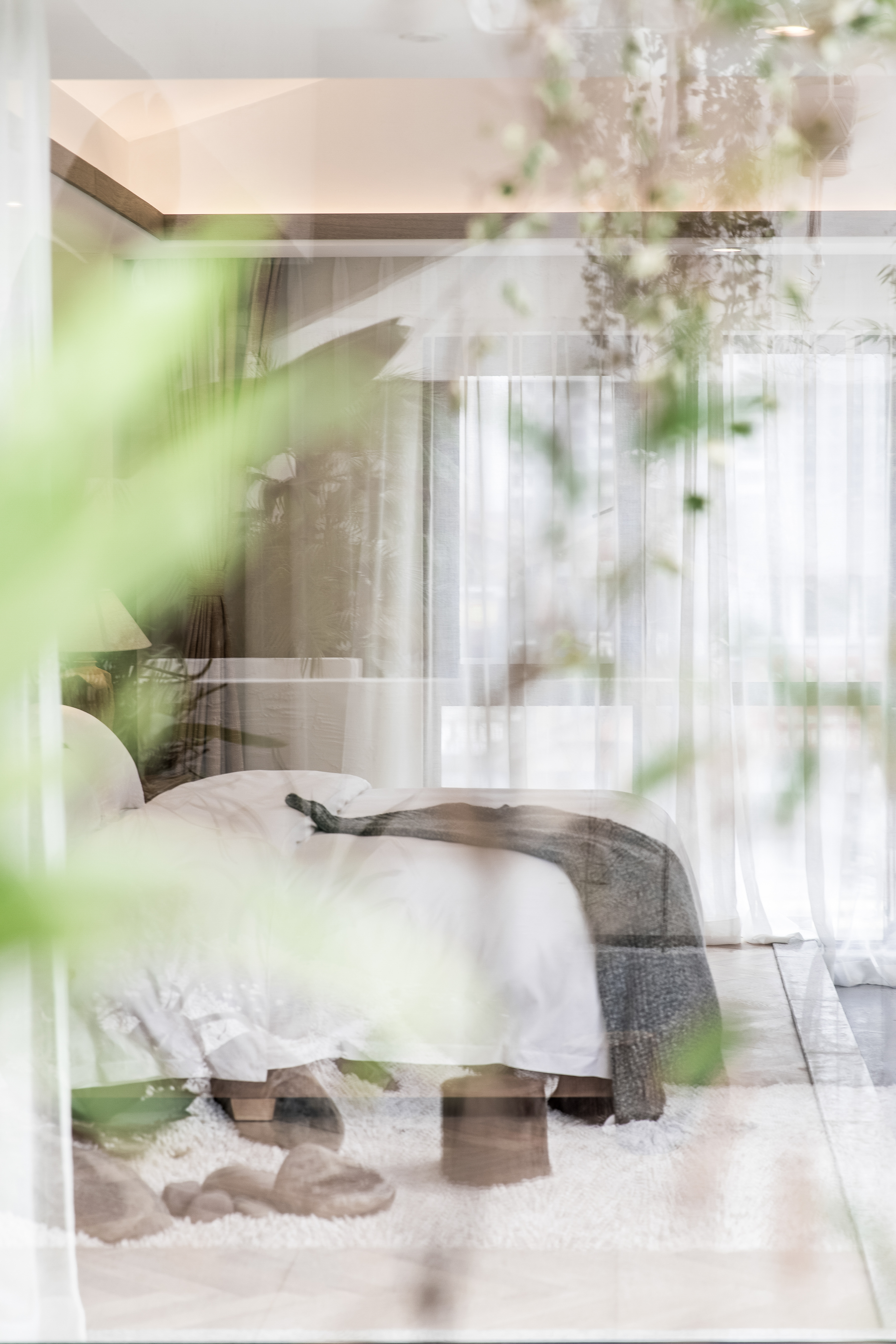 豪华花园泡池套房