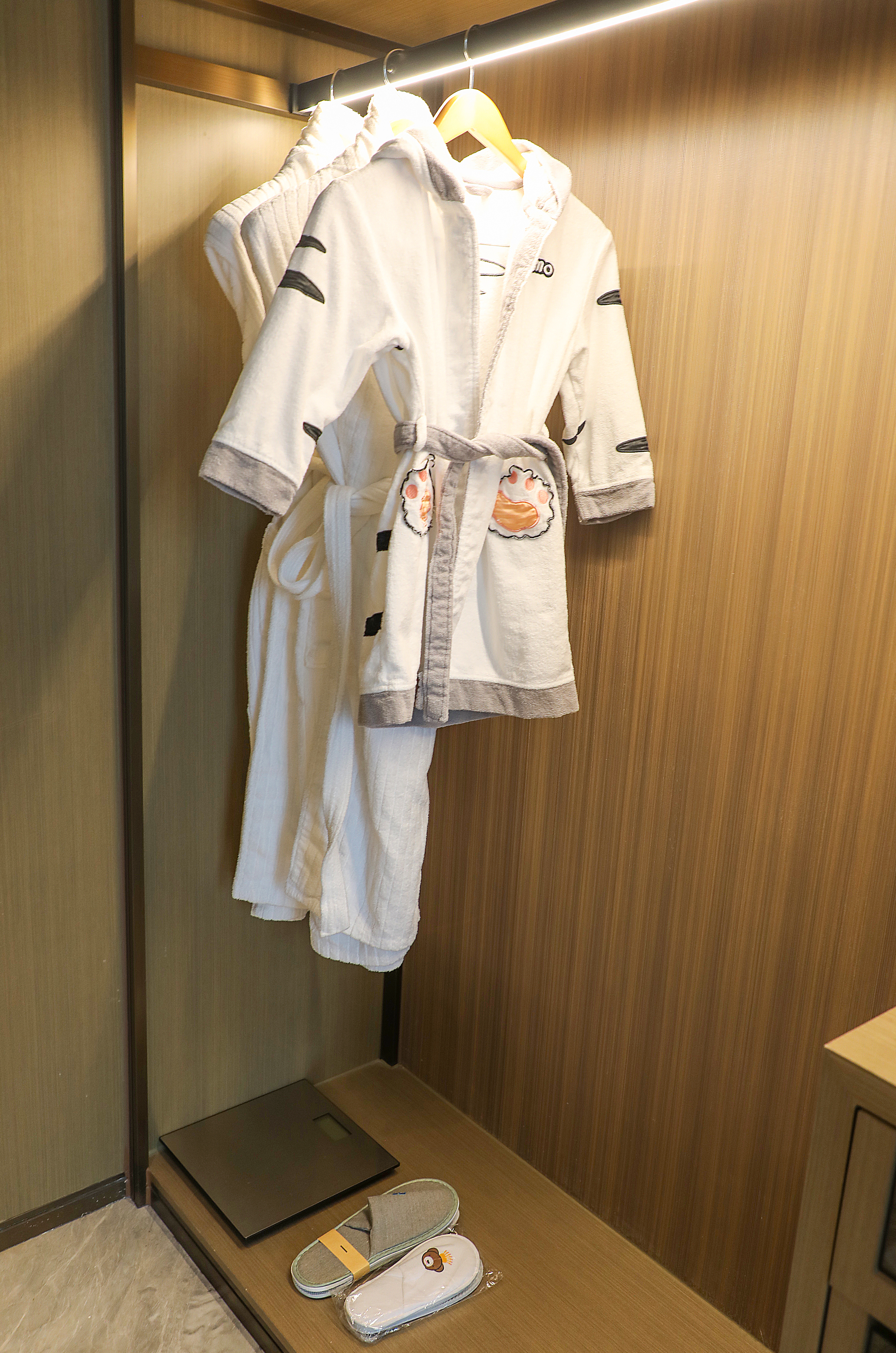 亲子房 （Momo主题+小童乐园）