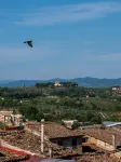 Torre del Fuggisole