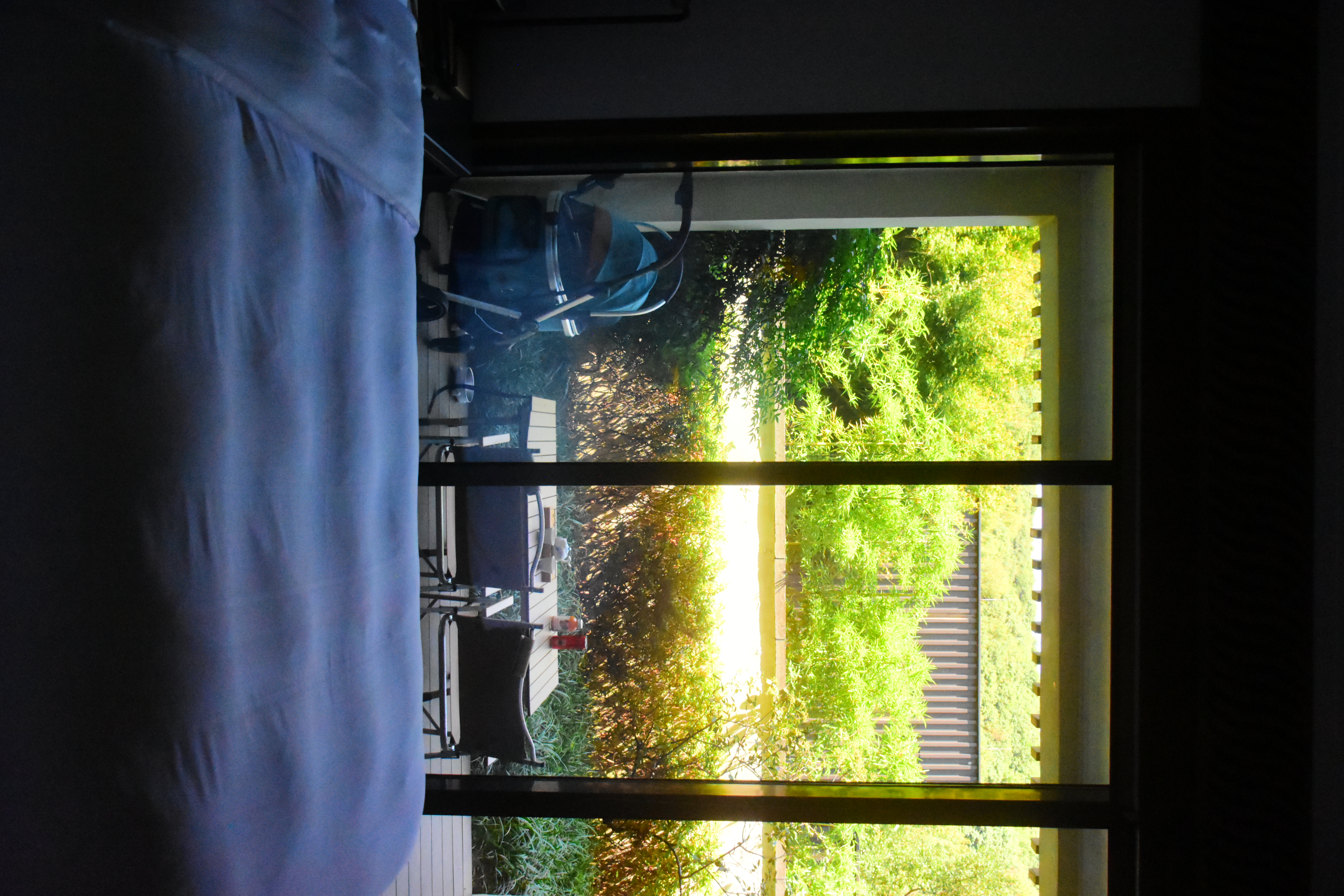 兰亭雅宠丨宠物友好房