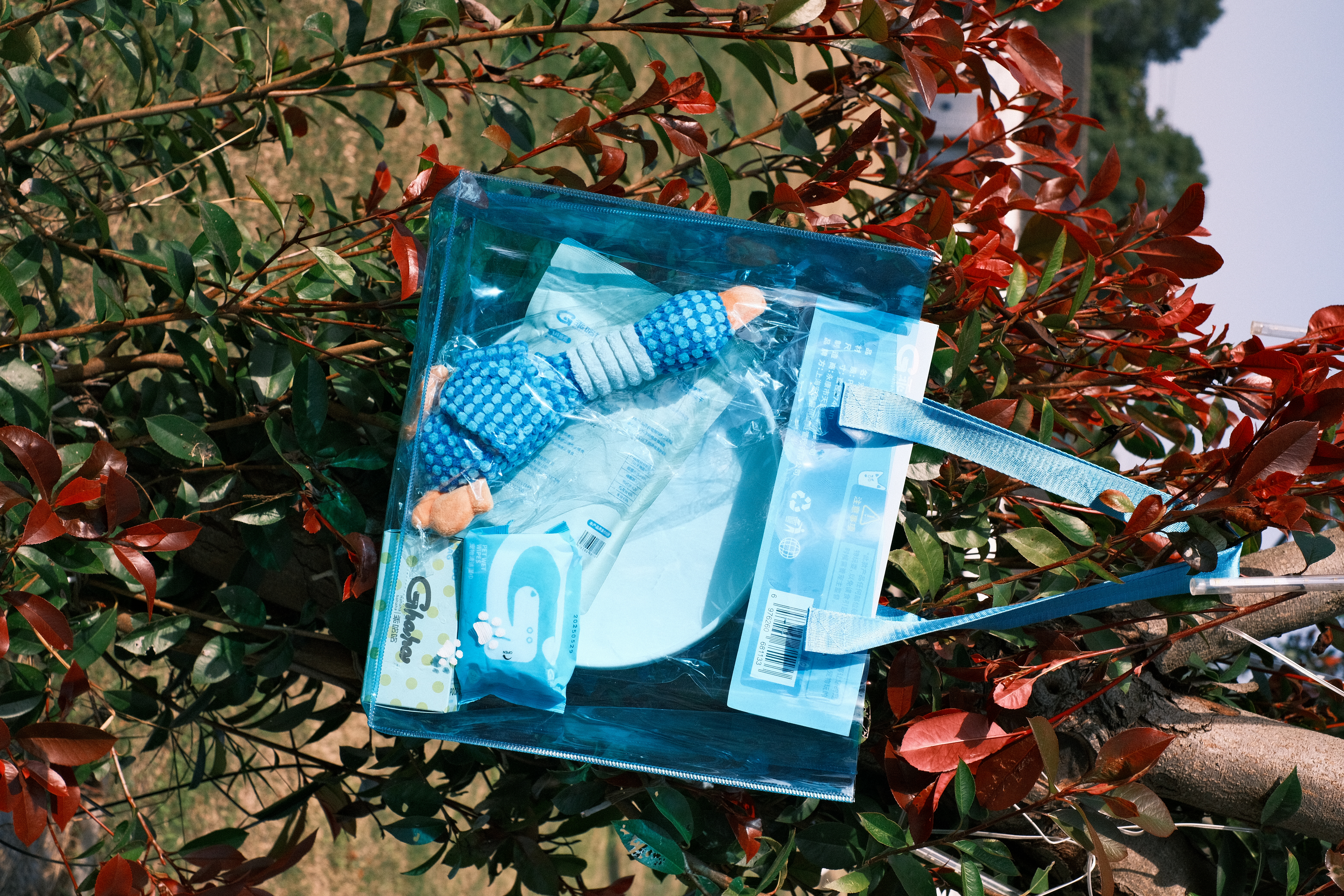 温香小筑宠物主题房