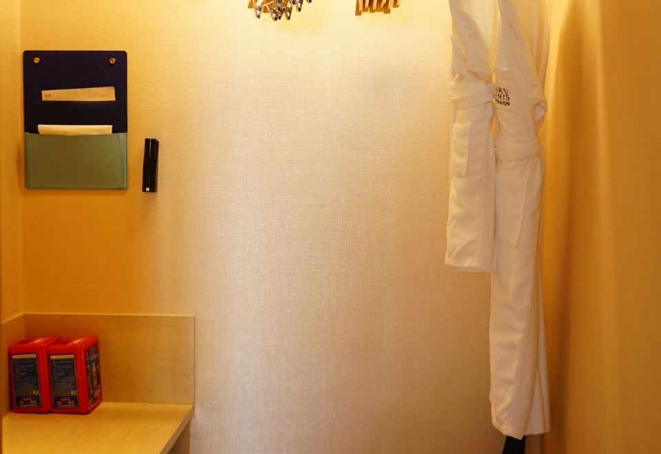 豪华山景露台套房