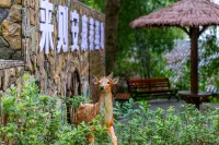 Luhe Liangshan Forest Wellness Homestay (Wandong)