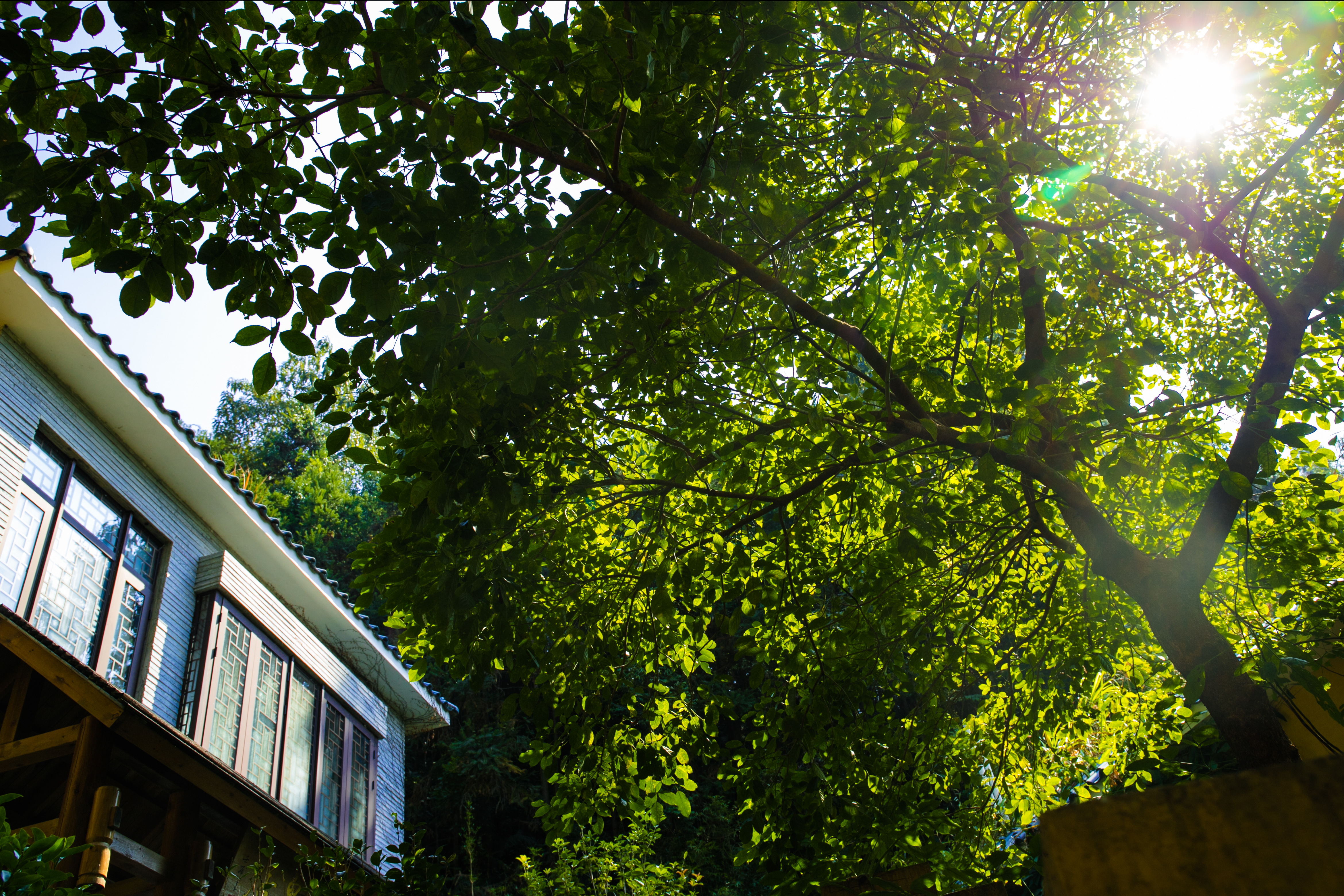 地派鸣泉居-四房两厅别墅-私家泡池-欢聚麻将桌