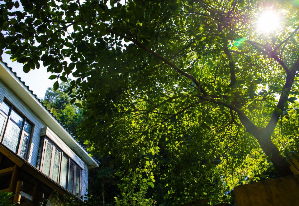 地派鸣泉居-四房两厅别墅-私家泡池-欢聚麻将桌