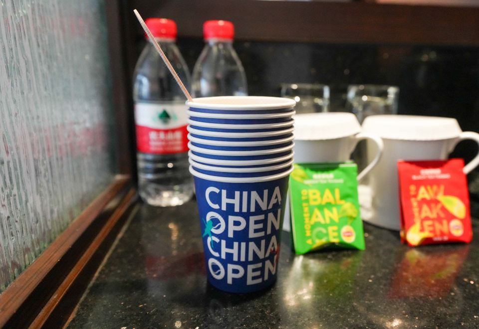 中网主题豪华双床房