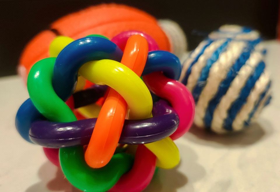 柏薇雙臥萌寵房|主題布置