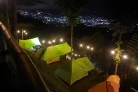 Zoya Hills Hotels in 
