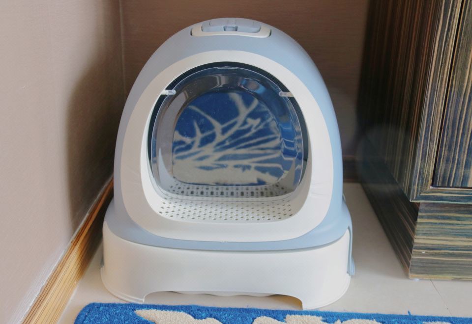 喵星人萌宠大床房（宠物友好+猫爬架+猫砂盆+猫碗）