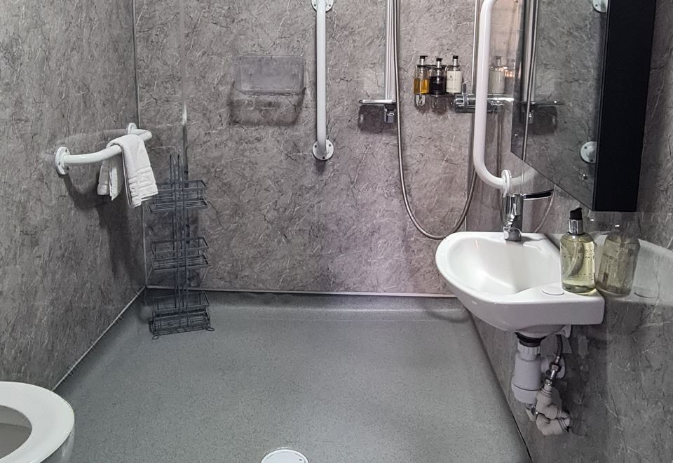 花園豪華特大床房（允許攜帶狗）