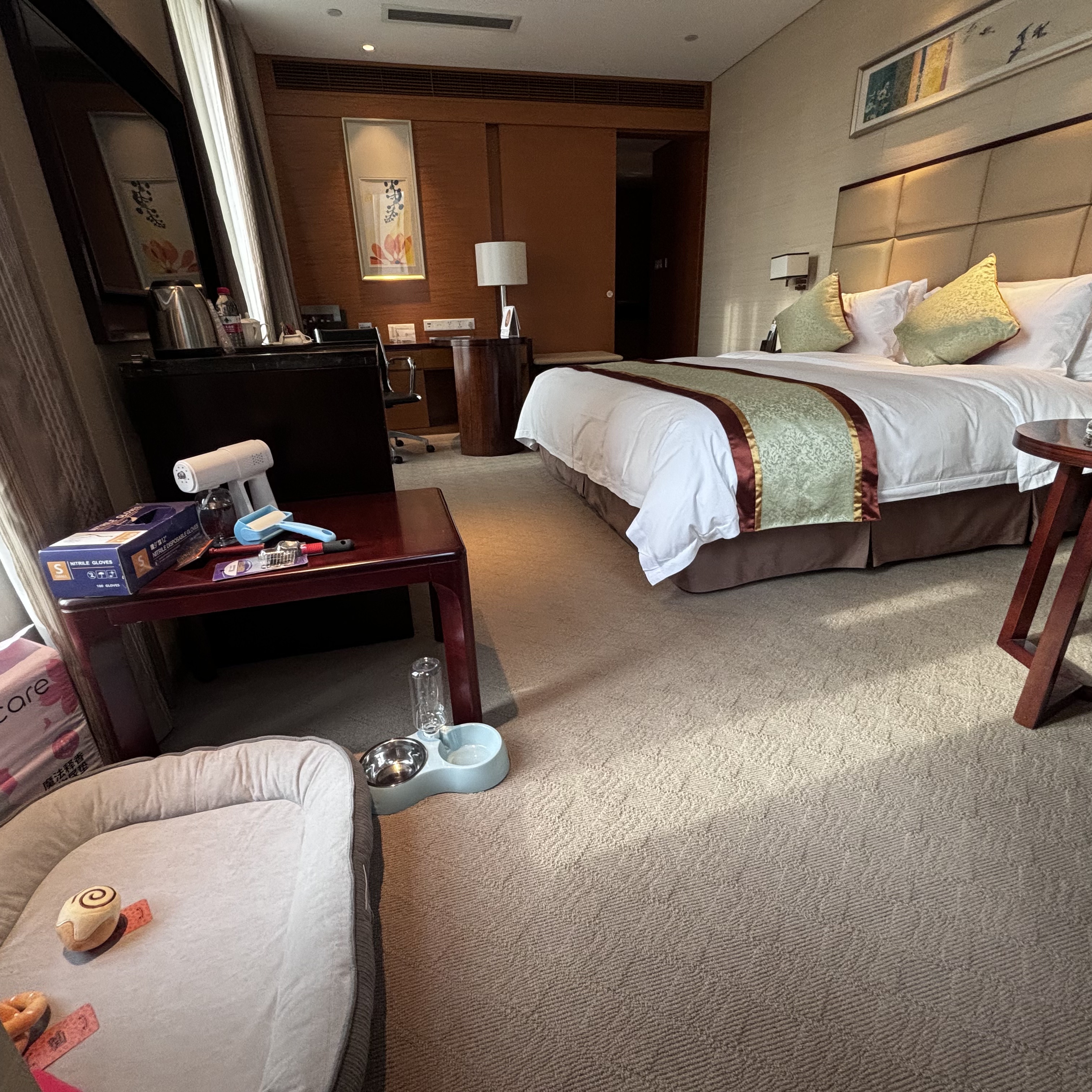 金陵萌宠大床房