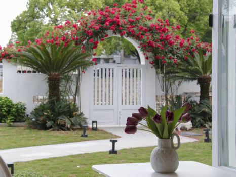 Shi Xia Homestay