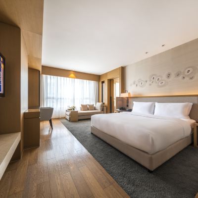 臻選輕奢大床房 杭州逸飯店優惠