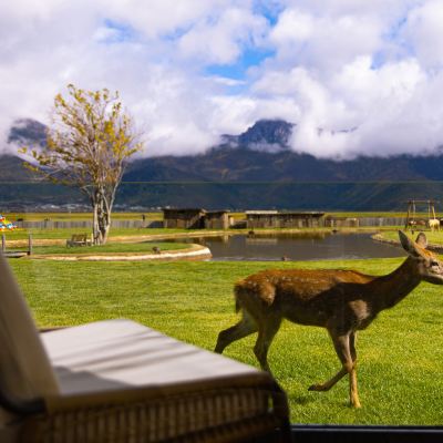 今日快樂事｜草原雪山景觀木屋雙床房 麗思漫丨心宿·穹廬四野供氧莊園（香格里拉店）優惠