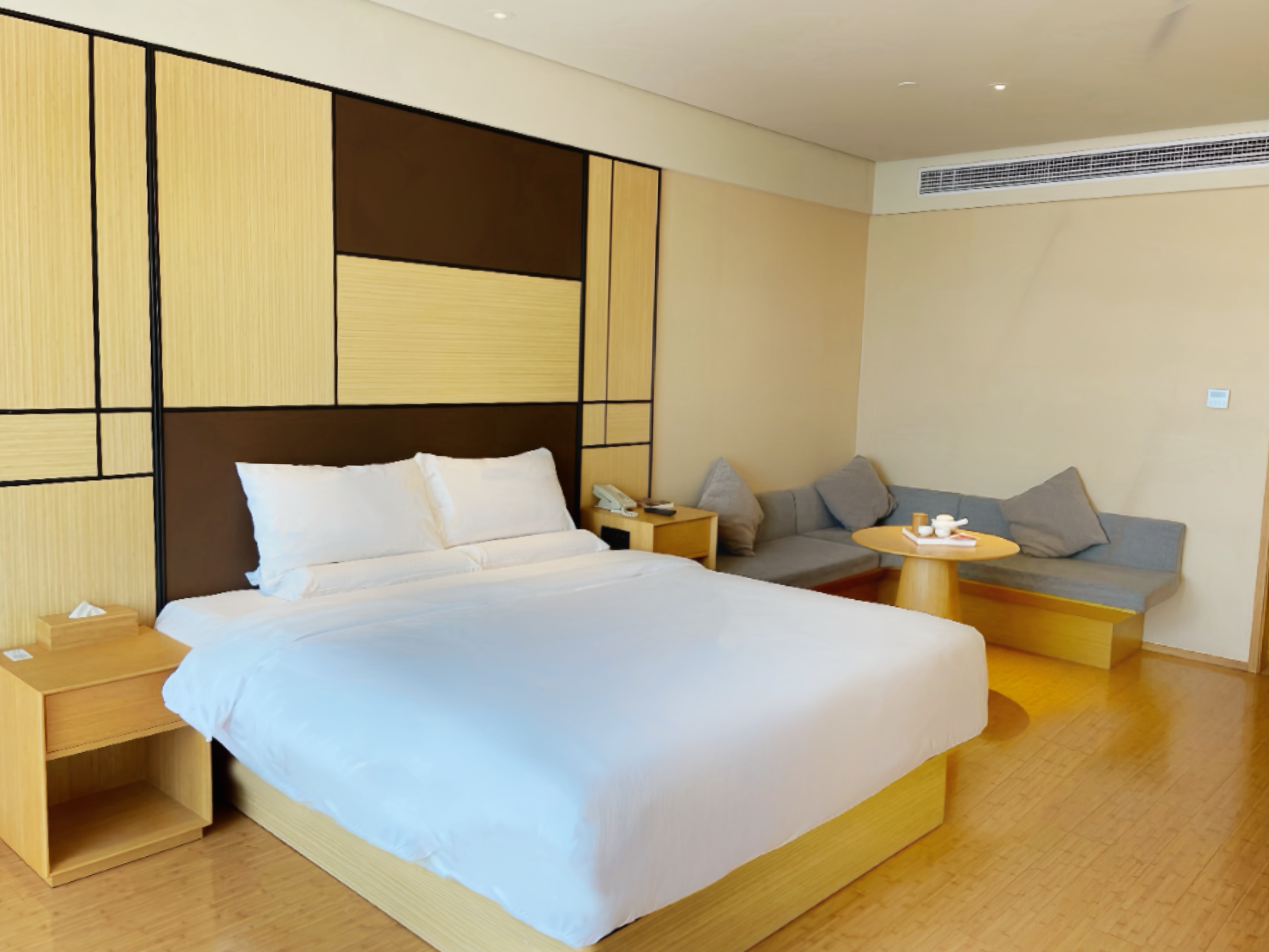 商务大床房（投屏电视）