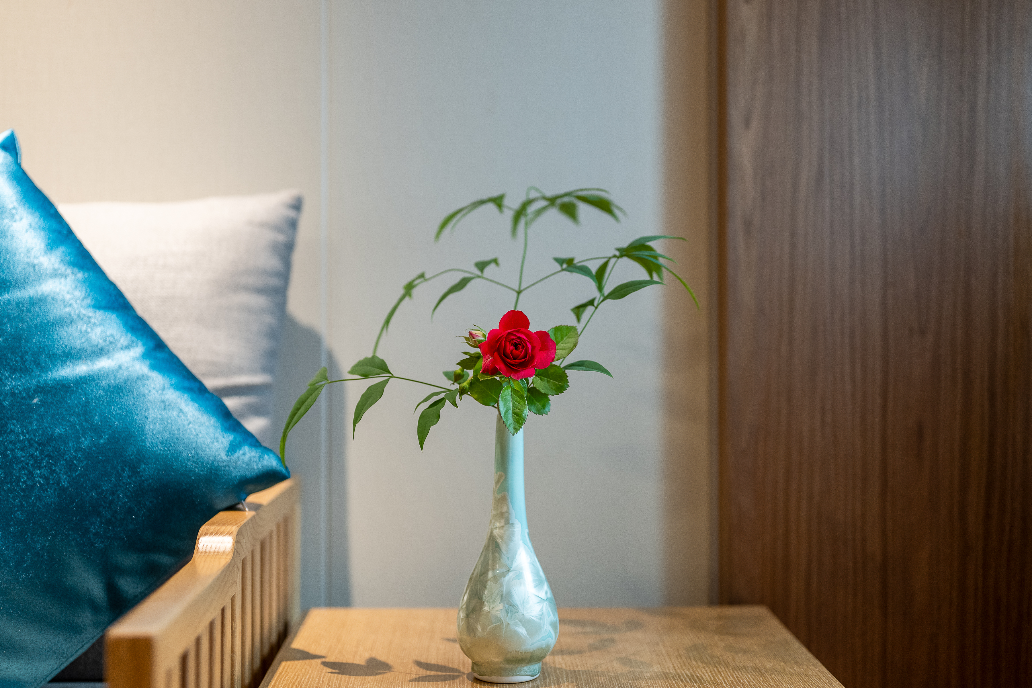 府邸·庭院別墅（四臥兩廳）