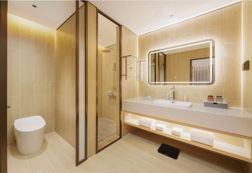 融悅商務套房（負離子空氣凈化器+智能客控）