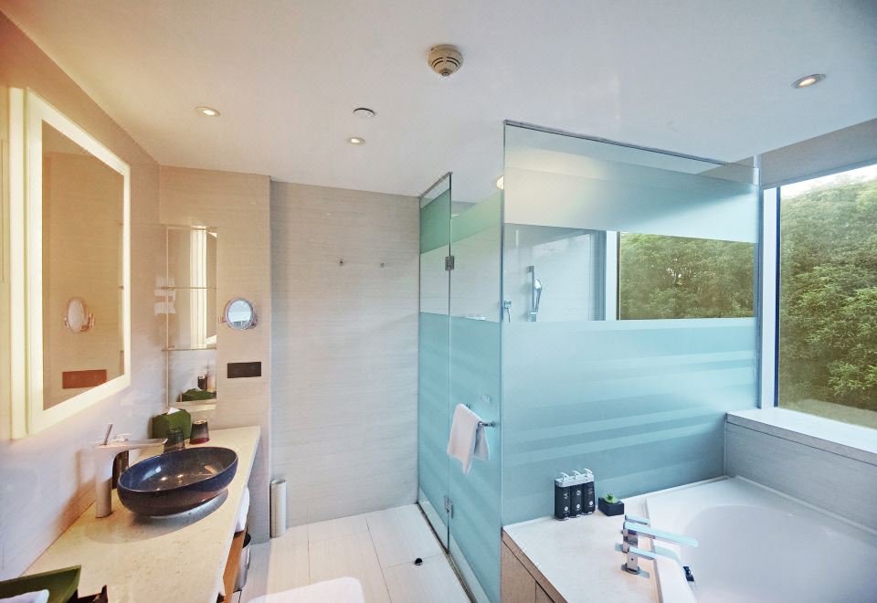 高級房（城市風情）