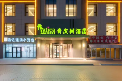 Vatica Hotel (Kashgar Daxue Xinquan Campus) Hotel di Kashgar