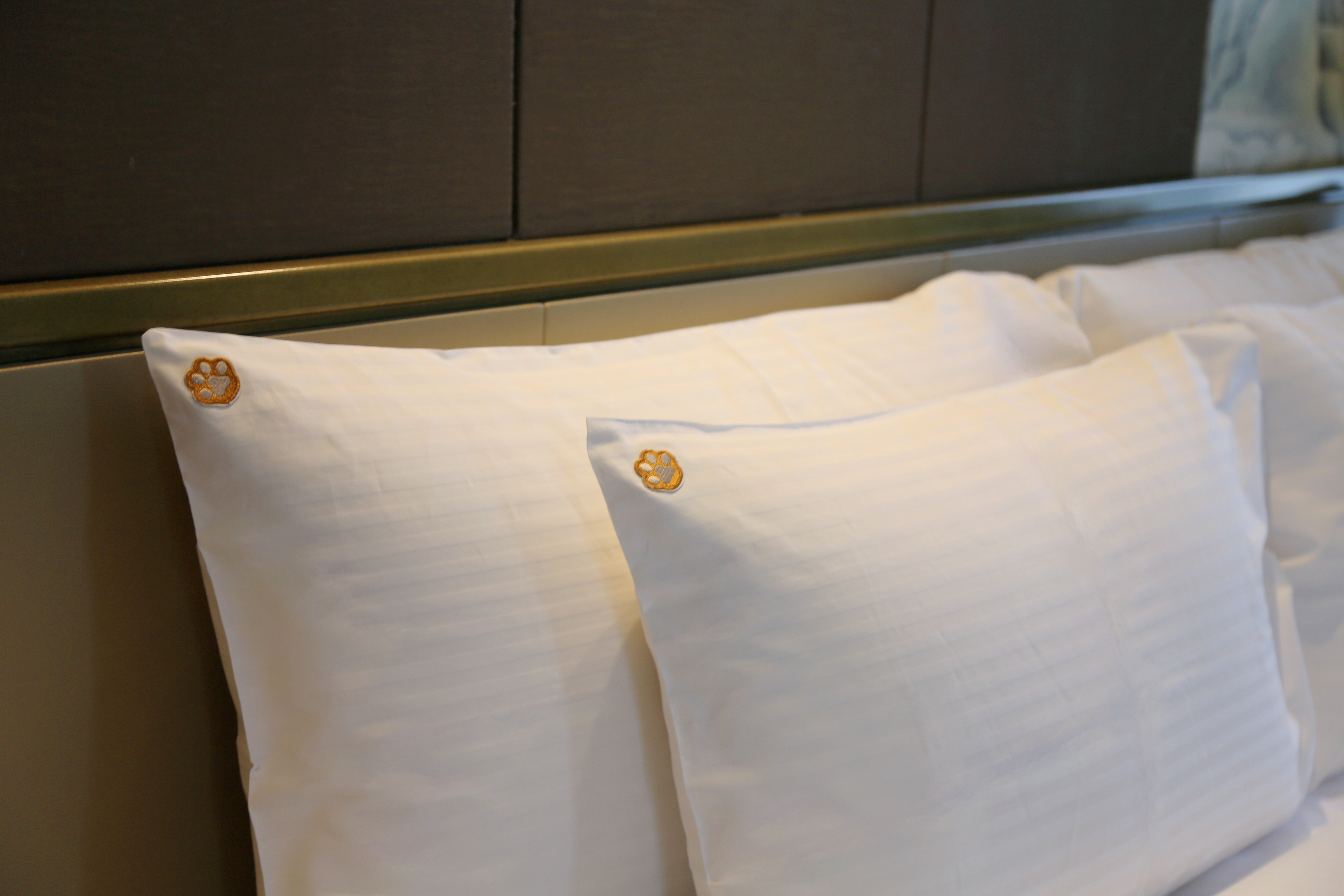 萌寵友好大床房（萌寵窩墊+玩具+食盆+溜寵物件）