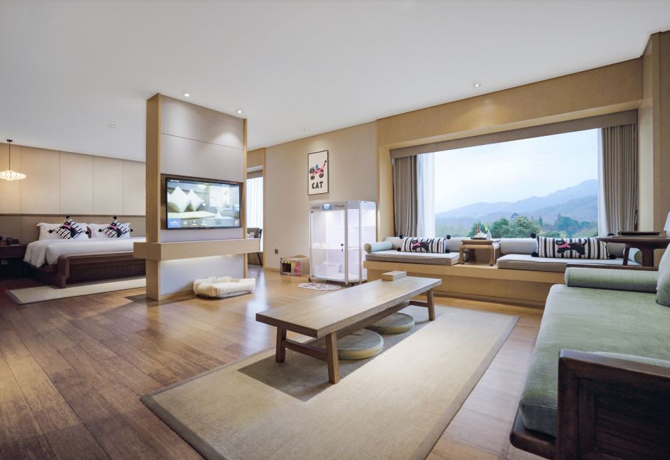 萌宠套房A-猫猫专属